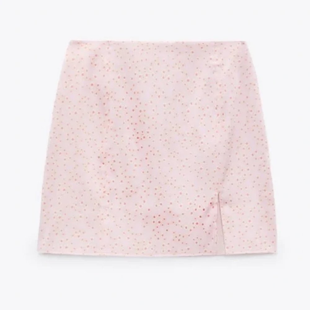 NWT Zara pink floral skirt